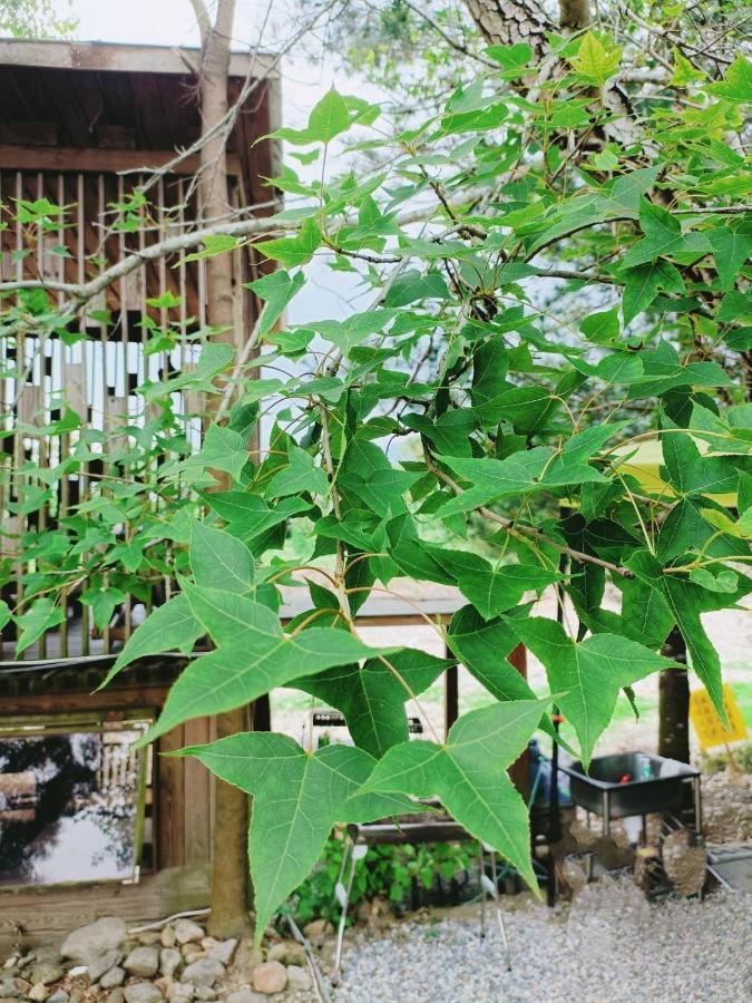 Fun星空謐境 埔里包棟民宿 烤肉麻將自然園區 Εξωτερικό φωτογραφία